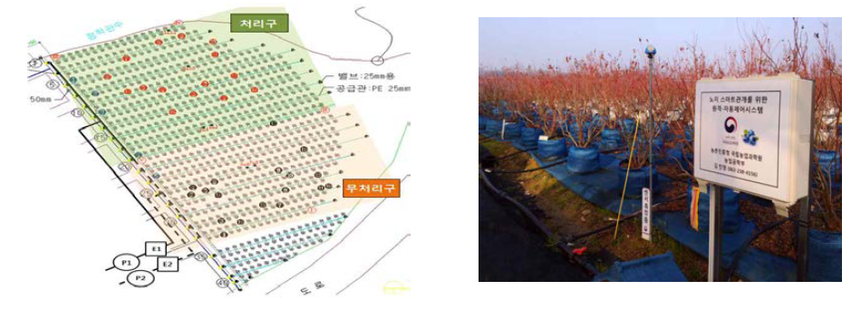 시험구(무처리구 vs. 처리구) 조성(왼쪽), 스마트 관개시스템 설치(오른쪽)