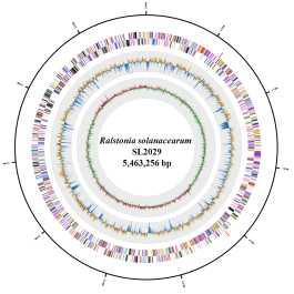 Circular genome map of Ralstonia solanacearum SL2029.