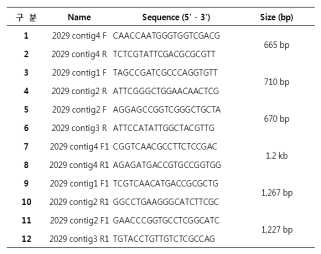 Sequence of oligonucleotide primers used in this study.