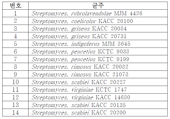 staurosporine 생성 방선균 균주를 검출 기술을 적용한 대표적인 방선균 균주 목록