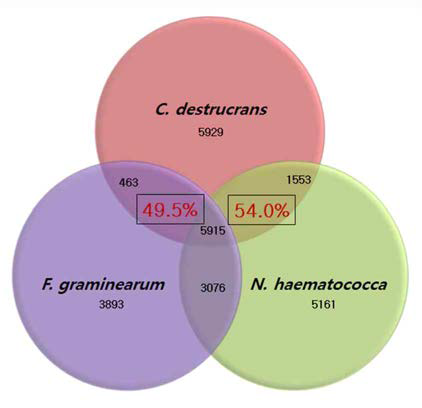 인삼뿌리썩음병원균과 기타 곰팡이의 유전체 비교·분석