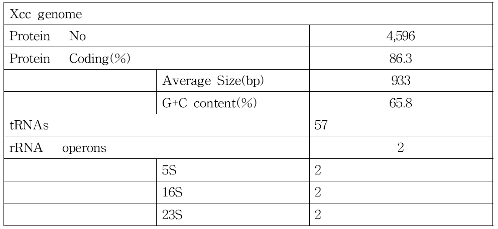 Xcc genome annotation 결과