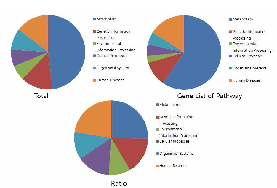 The proportion of functional categories generated from raw data