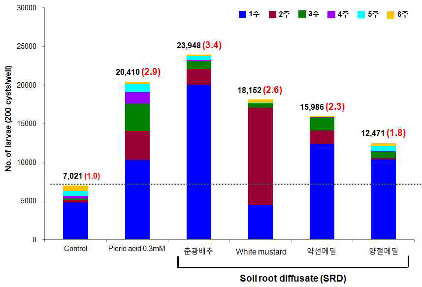 유인작물 뿌리침출액 처리시 씨스트 내 알 부화 유충수