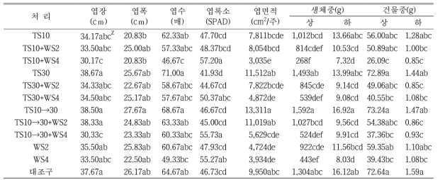 배추의 생육특성(화분재배, 정식후 60일)