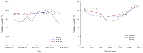 봄배추 재배기간의 상대습도(좌) 및 일일 상대습도 변화(우)