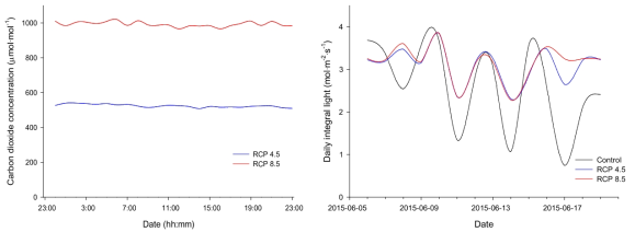 봄배추 재배기간의 일일 이산화탄소농도 변화(좌) 및 일 적산광량(우)