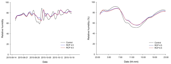 가을배추 재배기간의 상대습도(좌) 및 일일 상대습도 변화(우)