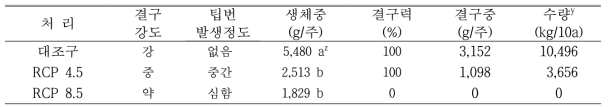 가을배추의 수량성(정식 후 56일)