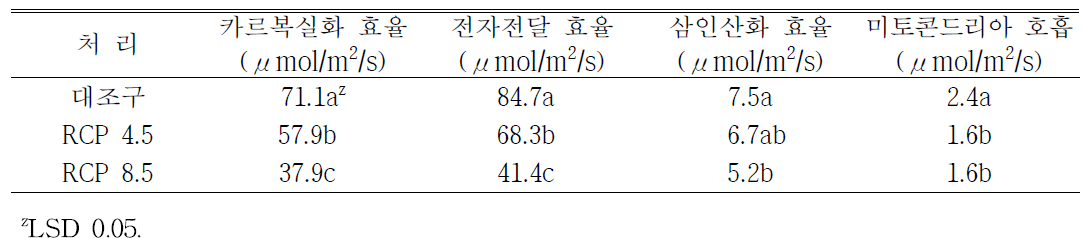 생화학모델을 활용하여 광합성효율 특성 평가