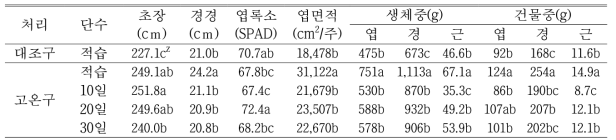 고추의 생육특성(정식후 100일)