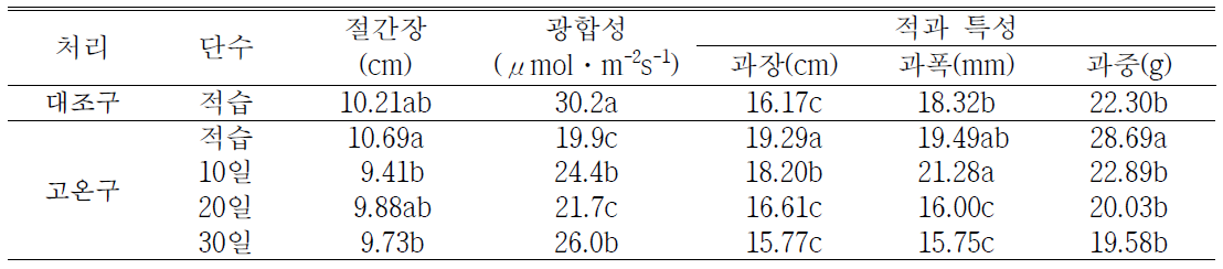 고추의 광합성 및 과실 특성