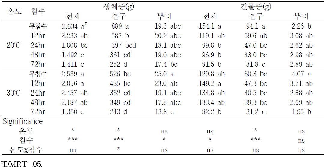 가을배추의 생체중과 건물중(처리후 15일, 정식후 41일)