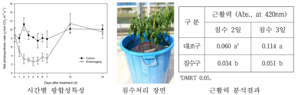 지제부까지 침수시 광합성변화 및 처리장면