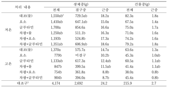 배추의 생체중과 건물중(정식후 61일)