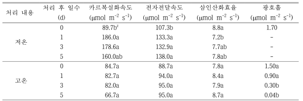 생화학적 모델식을 활용한 광합성의 효율 특성