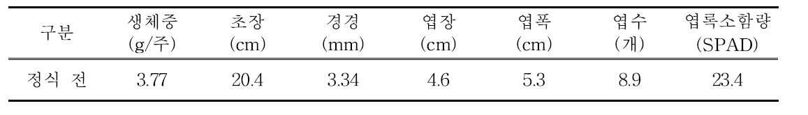 여주 정식 전 묘소질