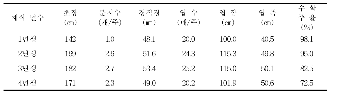 아티초크 장기재배 재식 년수별 본포 생육최성기 지상부 생육특성