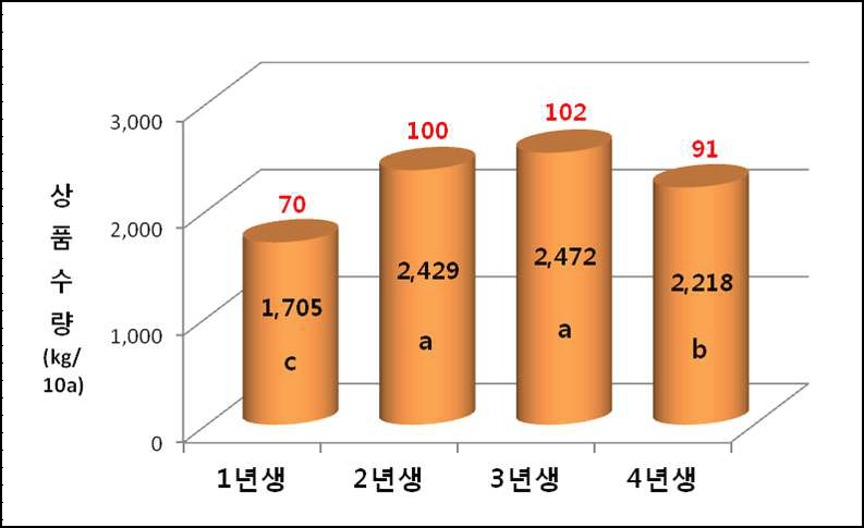 아티초크 장기재배 재식 년수별 상품수량 및 지수