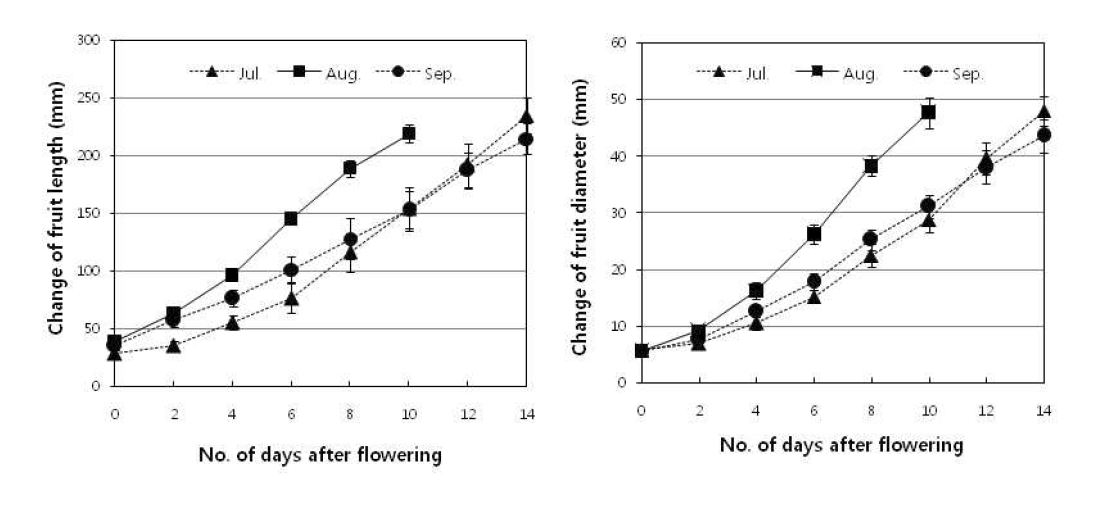 Seasonal change of fruit length and fruit diameter as affected by planting date in bitter gourd(The treatment of planting date were in each June 5, July 5, August 5). Vertical vars represent standard errors