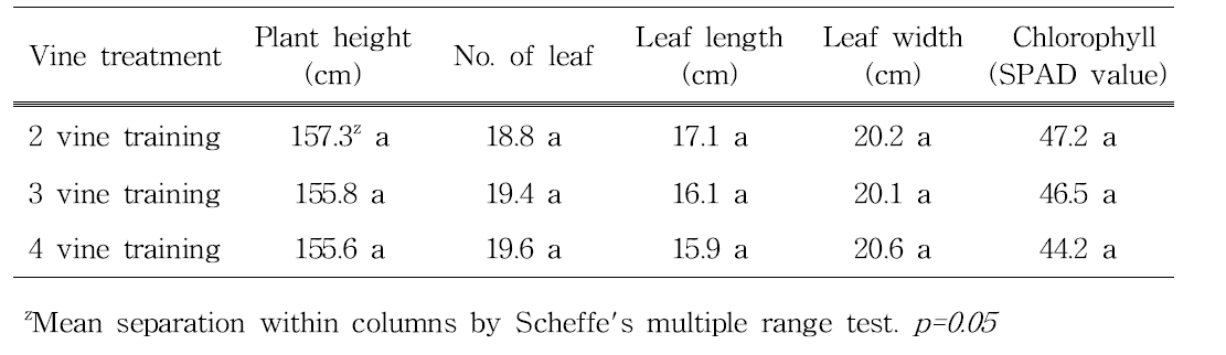 Effect of vine training methods on the growth of bitter gourd after 50 days of transplanting.