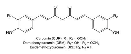 Chemical structures of cucuminoid from turmeric.