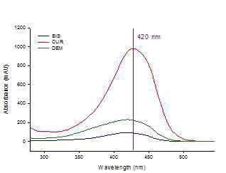 UV absorption spectra and standard calibration curve of curcuminoids