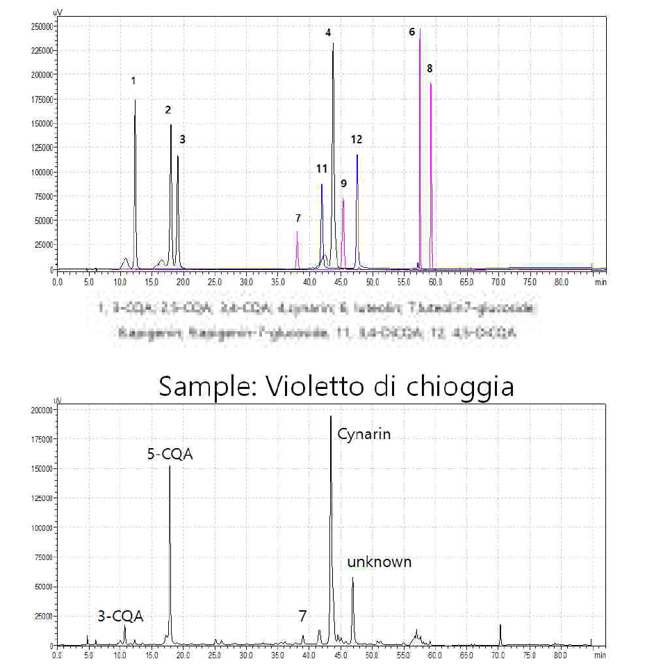 Chromatogram of polyphenolic compounds standard and sample(Violetto di chioggia) analysis