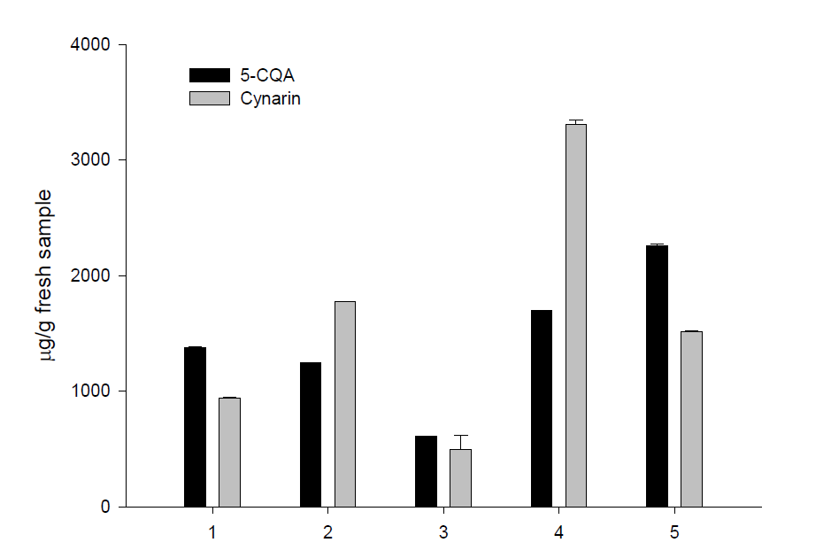 Content of polyphenolic compound in canned artichoke.