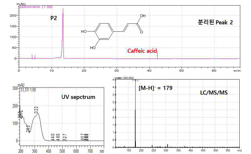 UV absoption spectrum, LC/MSMS spectrum, and HPLC chromatogram of isolated P2 compound.