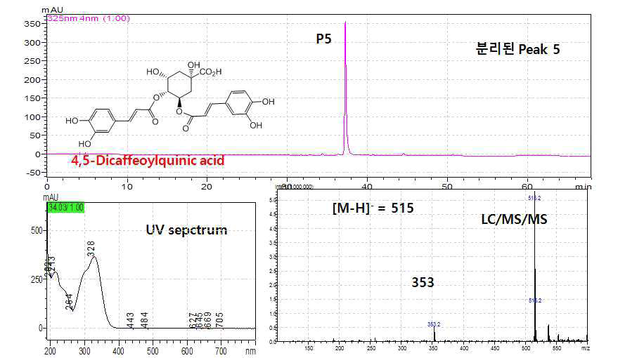 UV absoption spectrum, LC/MSMS spectrum, and HPLC chromatogram of isolated P5 compound.
