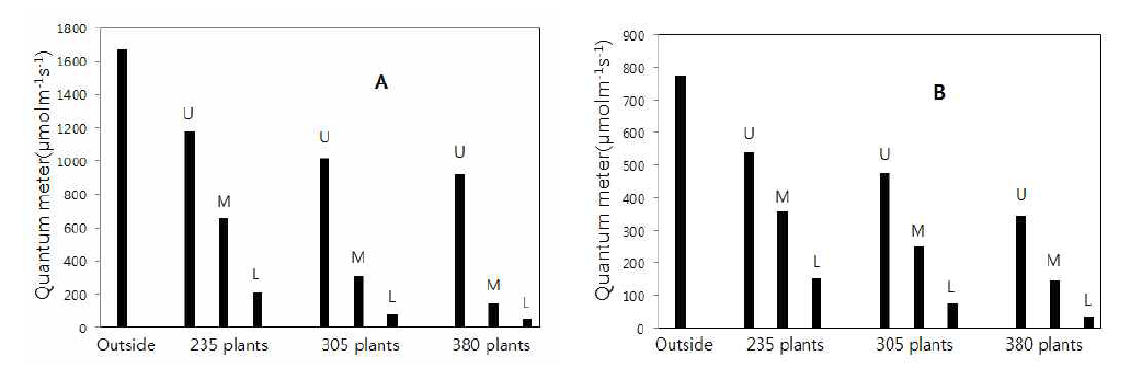 Regional difference of intensity of light by planting density(plants.10a-1) in greenhouse condition