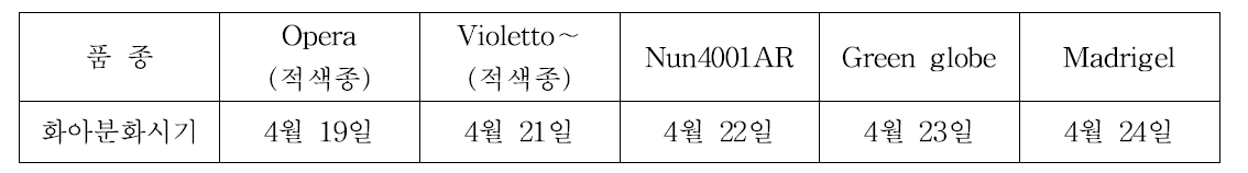 아티초크 품종별 화아분화 시기 (조사시기: 2014.3하순∼2014.4하순)