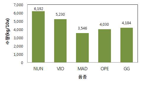 아티초크 품종별 수량 특성