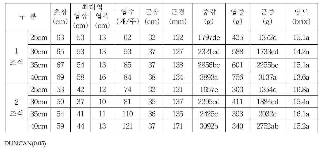 재식밀도별 생육 (조사일10월30일)