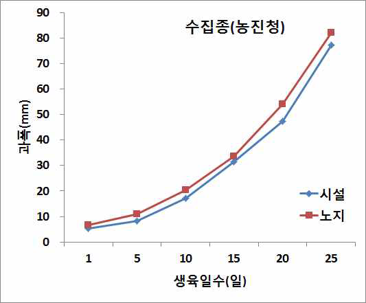 차요테 착과 후 과실 두께 생장속도