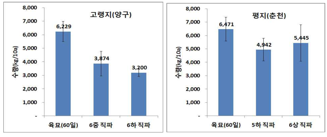 사탕무 지대 및 파종기별 수량 비교