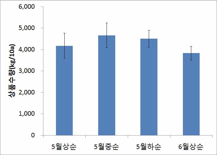 롱빈 정식시기에 따른 상품수량 비교