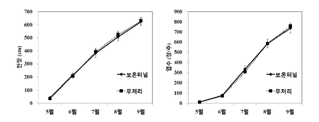 북부지역 여주 노지재배 시 간이 보온터널 처리에 따른 월별 만장, 엽수 비교