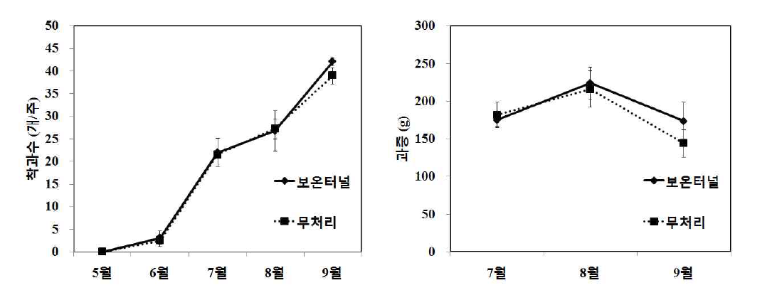 북부지역 여주 노지재배 시 간이 보온터널 처리에 따른 착과수, 과중 비교