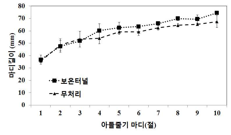 북부지역 여주 노지재배 시 간이 보온터널 처리에 마디길이 변화 비교