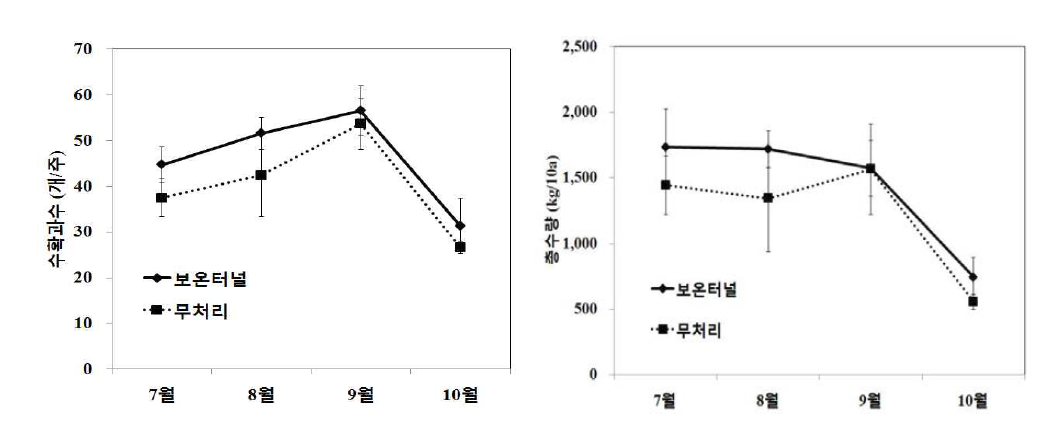 북부지역여주노지재배 시간이보온터널처리에따른월별수확과수, 총수량비교