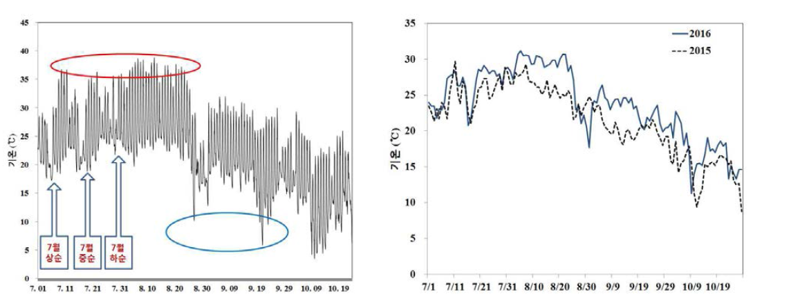북부지역 여주 노지재배 억제작형 기온 변화(2016)