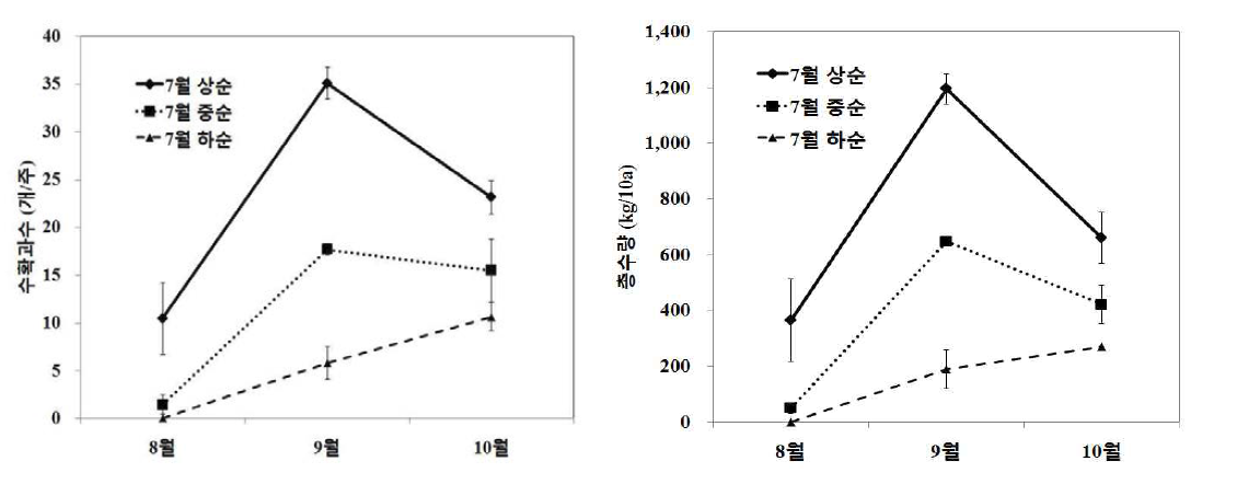 북부지역 여주 노지재배억제작형 정식시기에 따른 월별수확과수, 총수량비교