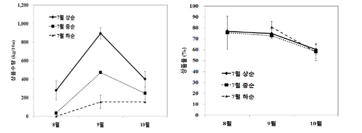 북부지역 여주 노지재배억제작형 정식시기에 따른 월별상품수량, 상품율비교