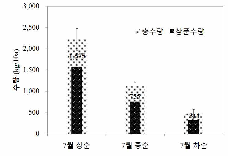 북부지역 여주 노지재배 억제작형 정식시기에 따른 수량 비교