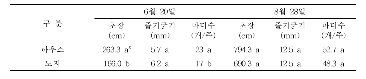 차요테 생육특성