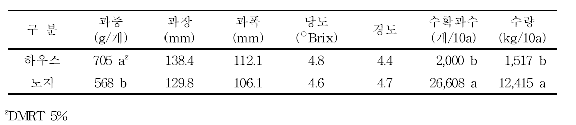 차요테 수량조사