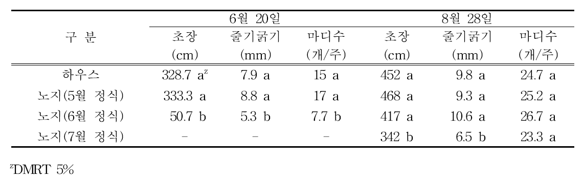 정식시기별 롱빈 생육