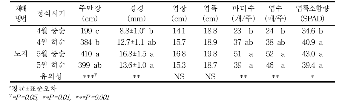 차요테 노지재배시 생육후기 지상부 생육